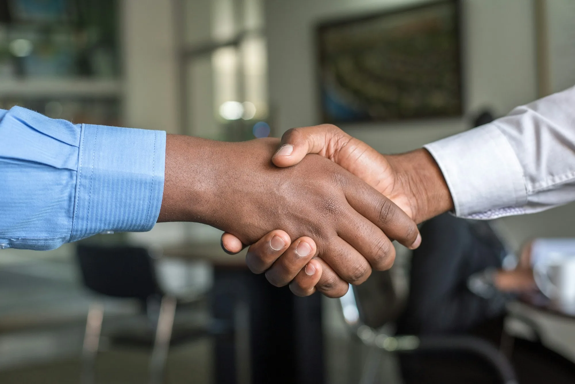 Two professionals shaking hands in agreement