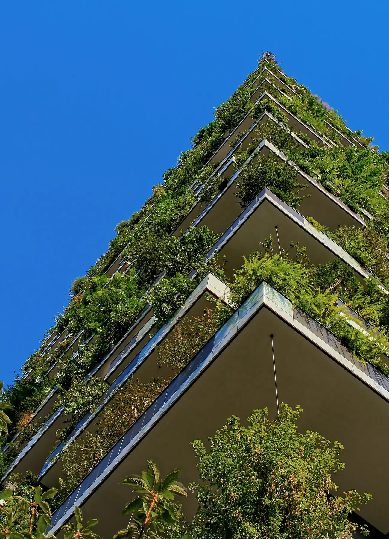 Modern sustainable building facade with clean lines